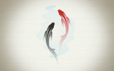 貸款錦鯉