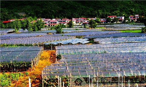 農村貸款不要利息.jpg