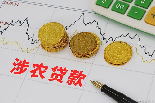 惠農(nóng)貸款