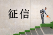 影響數(shù)萬元批貸額度的征信報告，長啥樣？