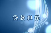 銀行貸款擔(dān)保如果借款人不還擔(dān)保人要承擔(dān)哪些責(zé)任