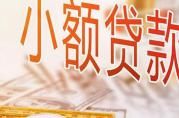 小額貸款1000元逾期未還，警察介入發(fā)公告.....