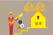 保單貸利息高嗎？怎么辦？