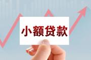 2023年全國(guó)共有小額貸款公司5801家