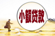 福州三六零網(wǎng)絡(luò)小額貸款是什么平臺？