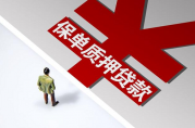 質(zhì)押貸款屬于擔保貸款嗎？全面解析！