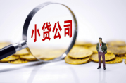 金豆花貸款怎么樣？金豆花貸款是否安全可靠？